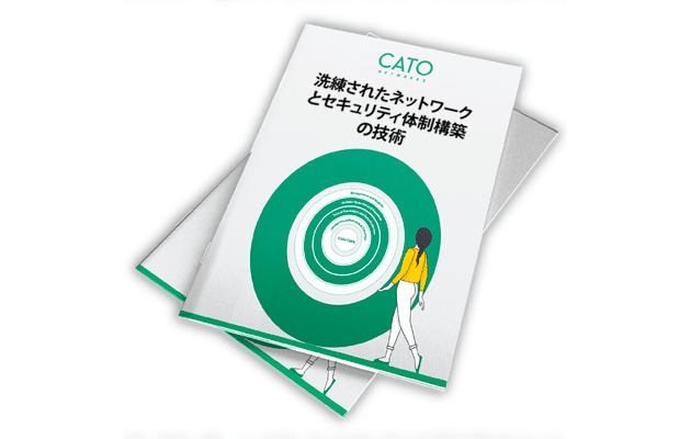 洗練されたネットワーク とセキュリティ体制構築 の技術