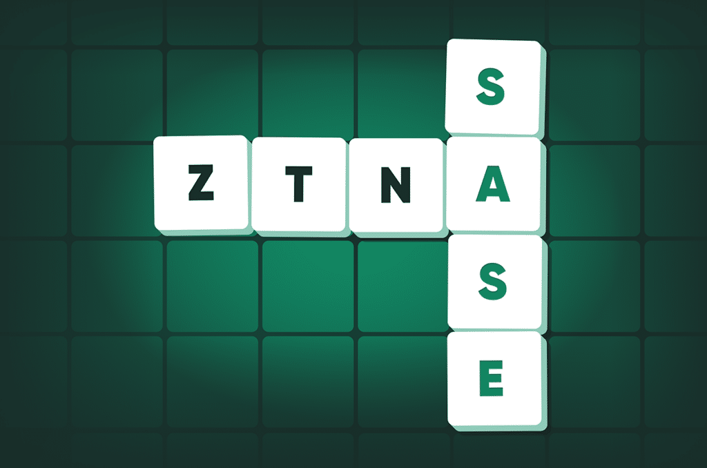 ZTNA: A Game-Changer for C-Level Executives | Cato Networks