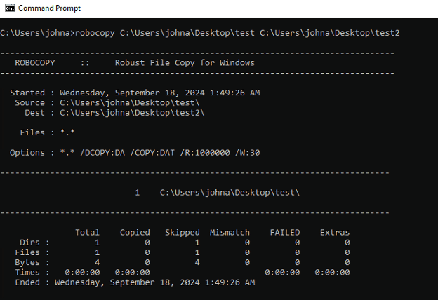 Figure 1. RoboCopy parameters